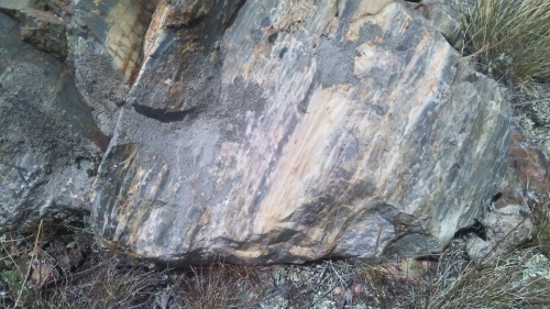 Гигантские зелёные валуны для ландшафтного дизайна весом более 5 тонн купить в Владивостоке