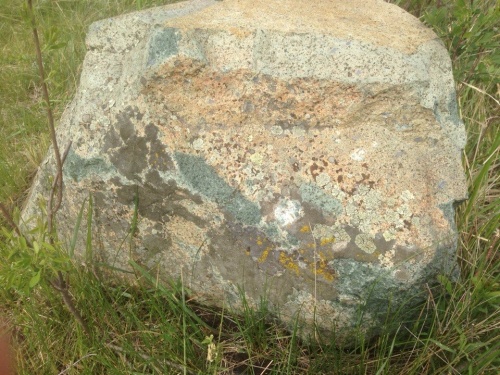 Гигантские зелёные валуны для ландшафтного дизайна весом более 5 тонн купить в Владивостоке